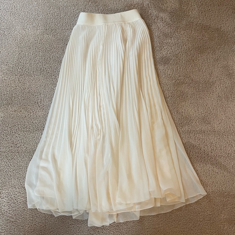 Aritzia Long Skirt